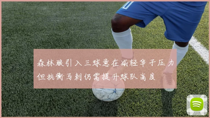森林狼引入三球意在减轻华子压力但抗衡马刺仍需提升球队高度